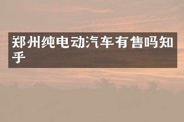 郑州纯电动汽车有售吗知乎