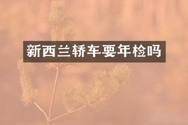 新西兰轿车要年检吗