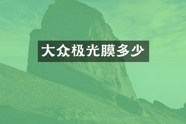 大众极光膜多少