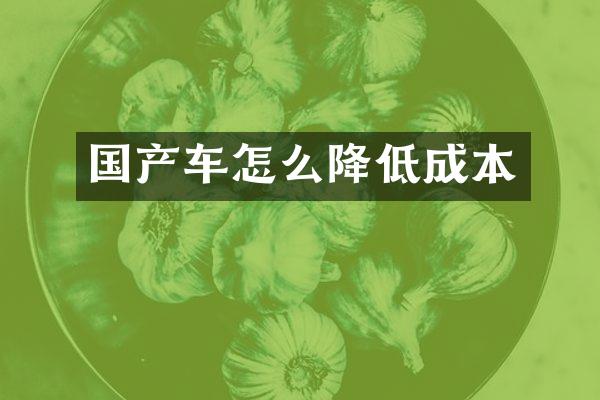 国产车怎么降低成本