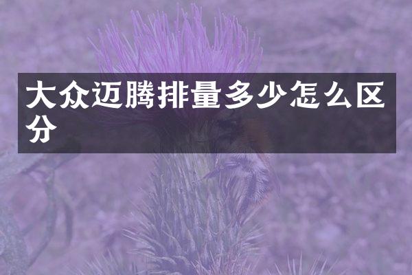 大众迈腾排量多少怎么区分