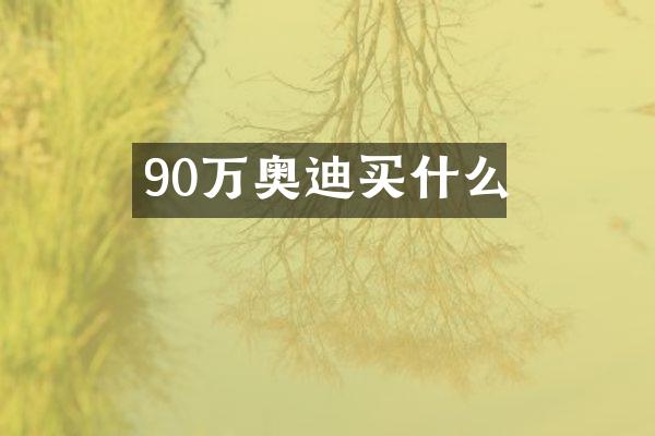 90万奥迪买什么
