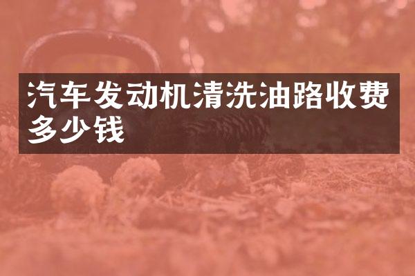 汽车发动机清洗油路收费多少钱
