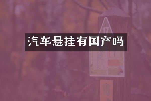 汽车悬挂有国产吗