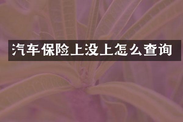 汽车保险上没上怎么查询