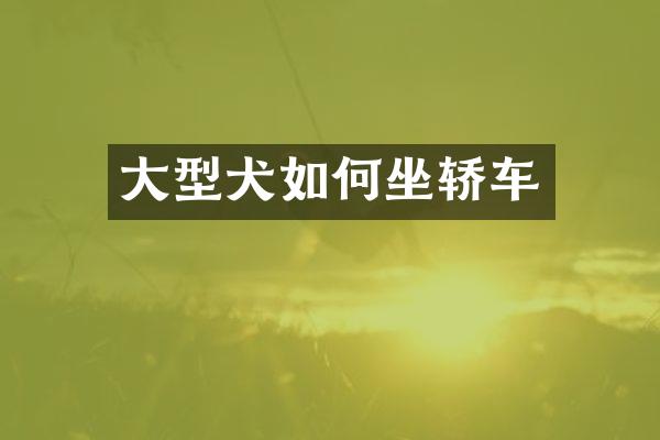 大型犬如何坐轿车