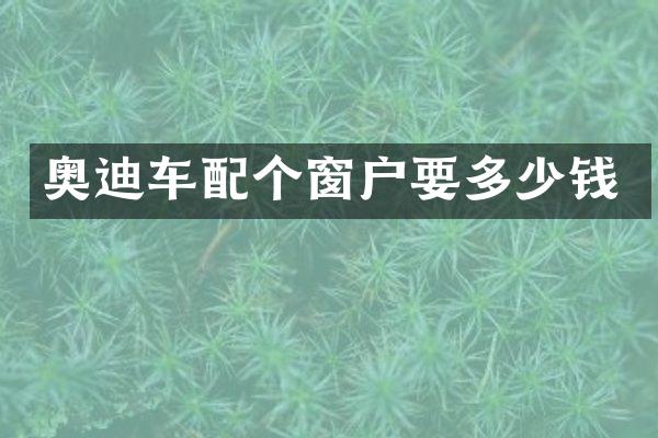 奥迪车配个窗户要多少钱