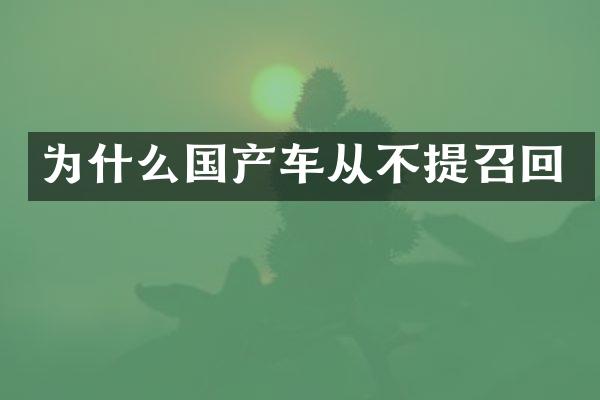为什么国产车从不提召回