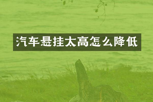 汽车悬挂太高怎么降低