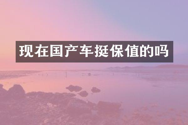 现在国产车挺保值的吗
