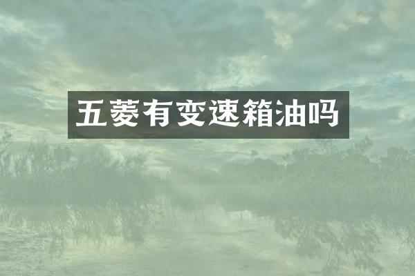五菱有变速箱油吗