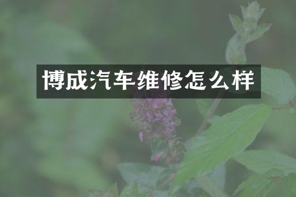 博成汽车维修怎么样