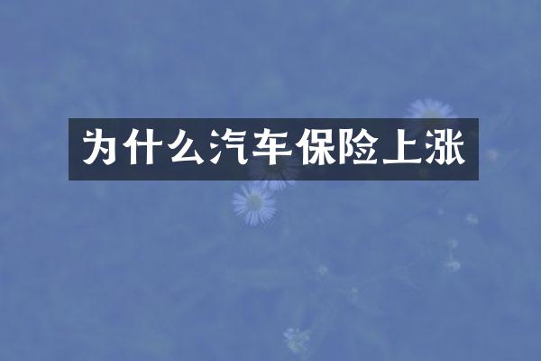 为什么汽车保险上涨