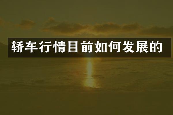 轿车行情目前如何发展的