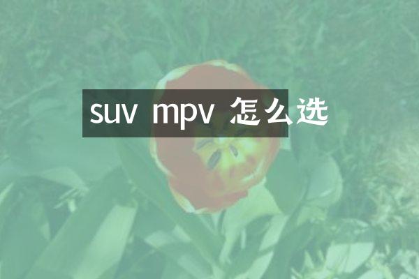 suv mpv 怎么选