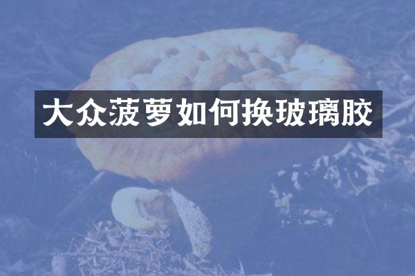 大众菠萝如何换玻璃胶