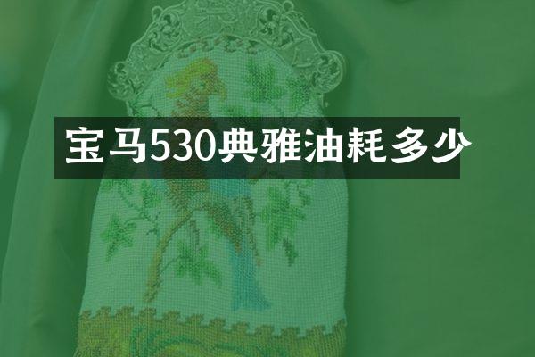 宝马530典雅油耗多少