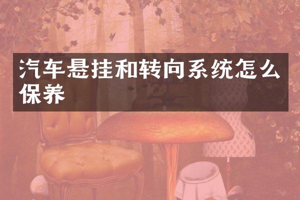 汽车悬挂和转向系统怎么保养