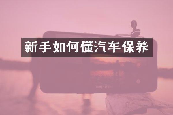 新手如何懂汽车保养