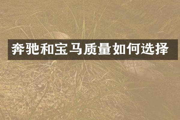 奔驰和宝马质量如何选择