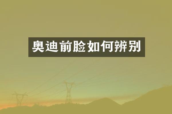 奥迪前脸如何辨别