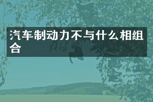 汽车制动力不与什么相组合