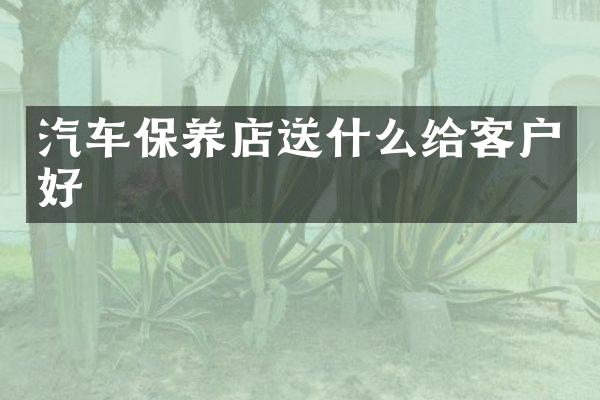 汽车保养店送什么给客户好