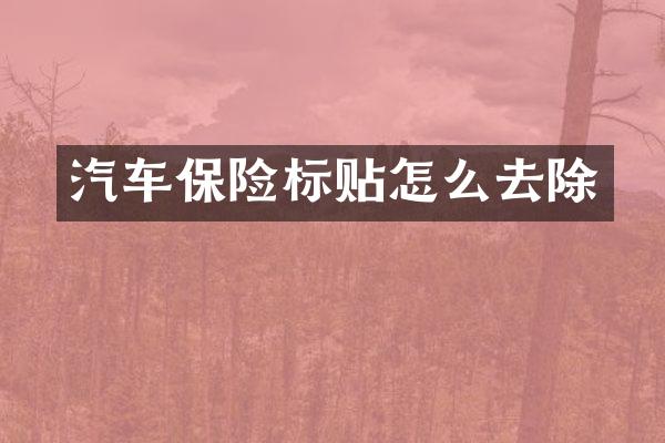 汽车保险标贴怎么去除