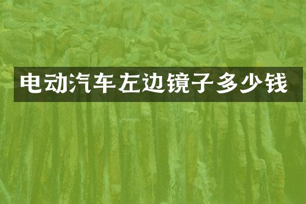 电动汽车左边镜子多少钱