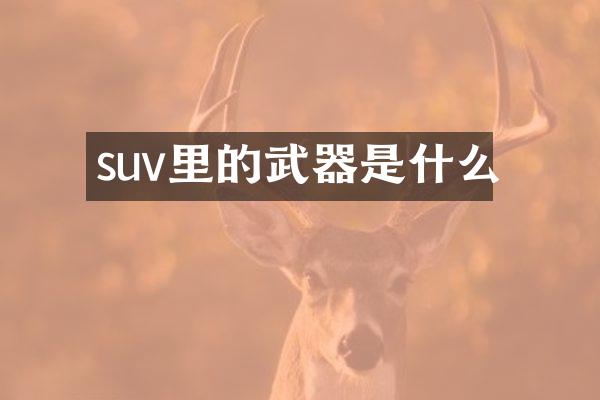 suv里的武器是什么