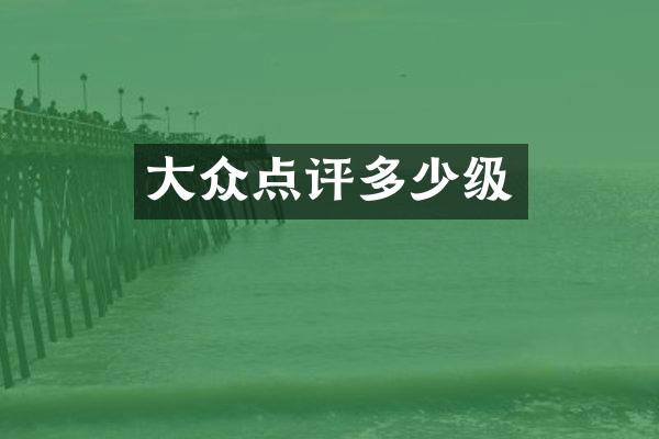 大众点评多少级
