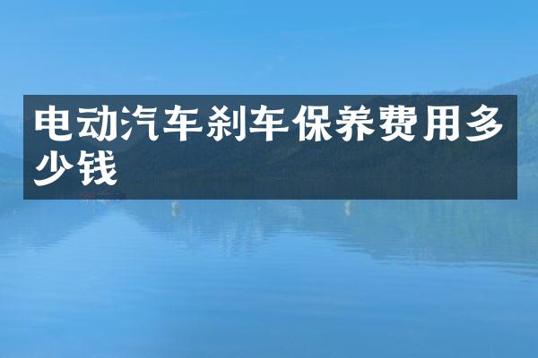 电动汽车刹车保养费用多少钱