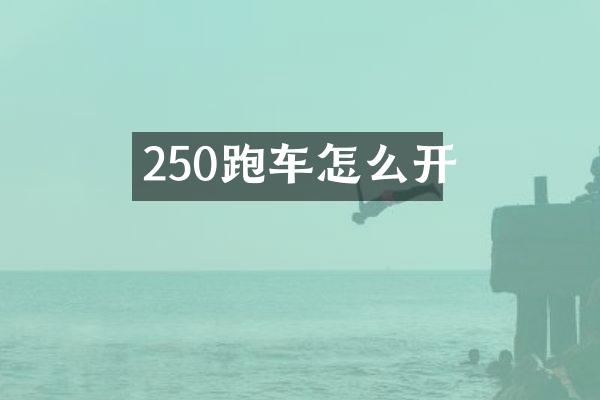 250跑车怎么开