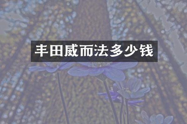 丰田威而法多少钱