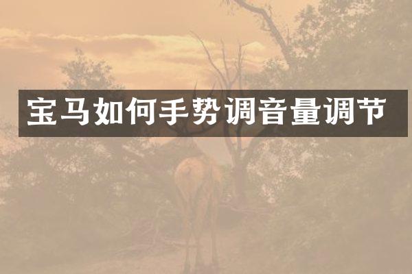 宝马如何手势调音量调节