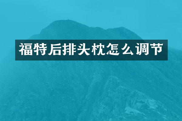 福特后排头枕怎么调节