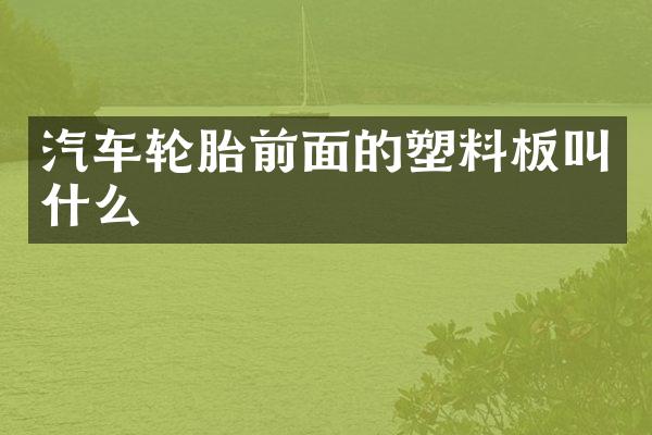 汽车轮胎前面的塑料板叫什么
