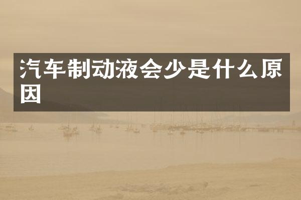 汽车制动液会少是什么原因