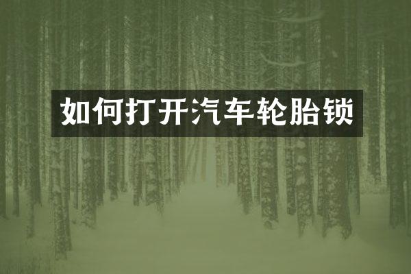 如何打开汽车轮胎锁