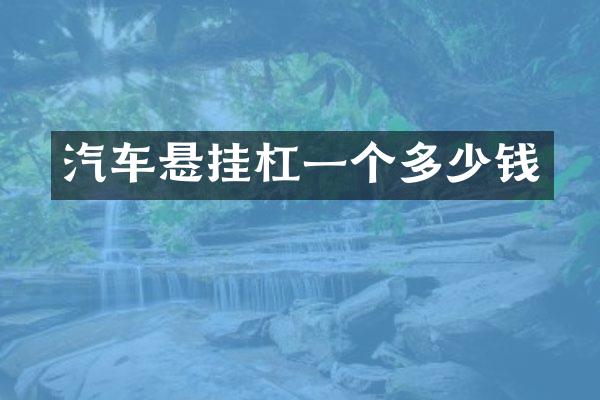 汽车悬挂杠一个多少钱