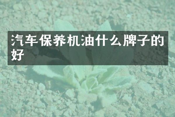 汽车保养机油什么牌子的好