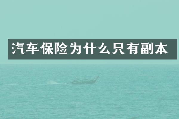汽车保险为什么只有副本