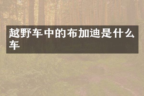 越野车中的布加迪是什么车