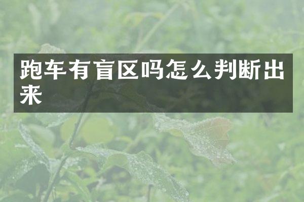 跑车有盲区吗怎么判断出来