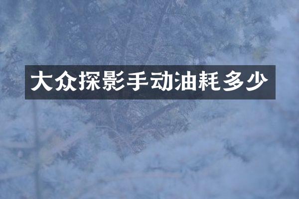 大众探影手动油耗多少