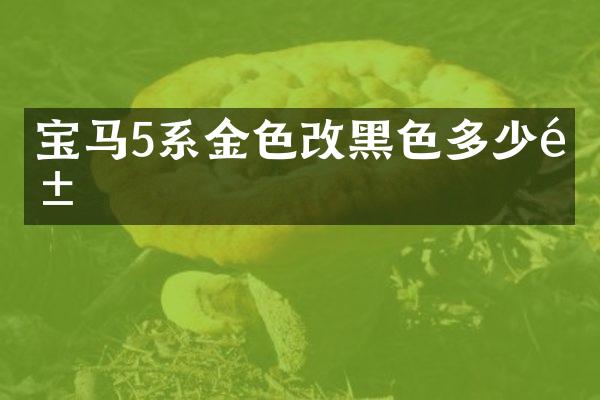 宝马5系金色改黑色多少钱