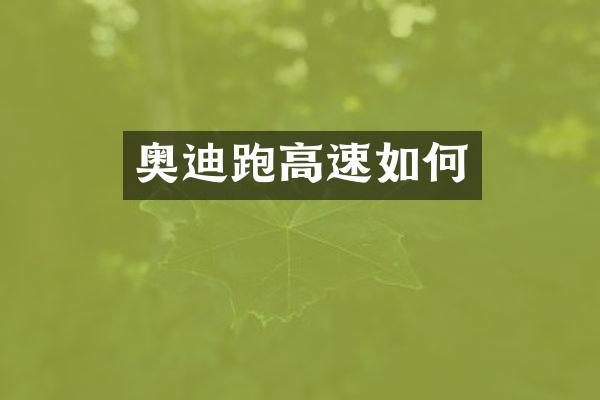 奥迪跑高速如何