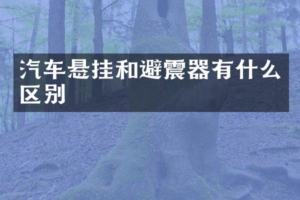 汽车悬挂和避震器有什么区别