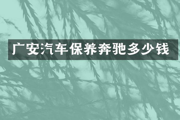 广安汽车保养奔驰多少钱