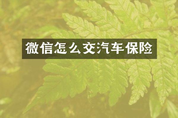 微信怎么交汽车保险